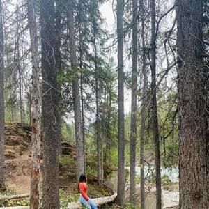 Meet your Posher, 'ruishu'